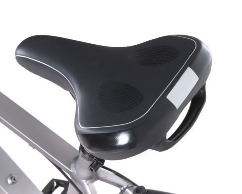 Електричний велосипед Maxxter RANGER, gray
