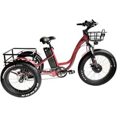 Електричний 3-колісний велосипед CEMOTO CEM-ET06 red