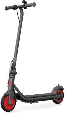 Электросамокат Segway-Ninebot C20, Black