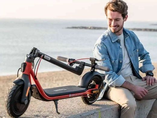 Электросамокат Segway-Ninebot D38E, Black/Red