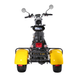 Электротрицикл CEMOTO C11A Сitycoco Tricycle 2000W 60V 20Аh, Жёлтый